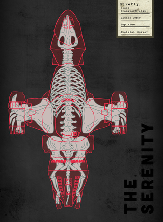 Illustration for article titled What if spaceships had skeletons inside?